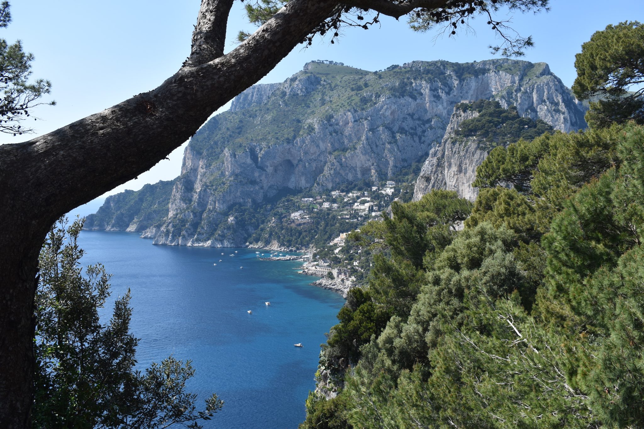 Homepage Penryn College